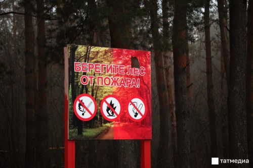 Штормовое предупреждение: В Татарстане объявили о высокой пожарной опасности в лесах с 28 сентября по 7 октября