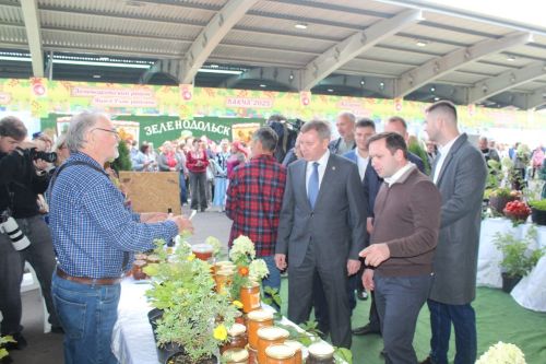 Садоводы Лаишевского района представили свою лучшую продукцию