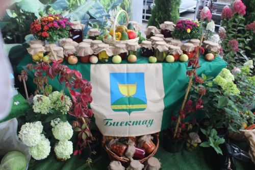 Садоводы Лаишевского района представили свою лучшую продукцию