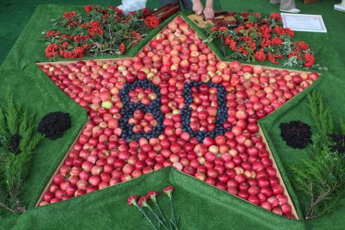 Садоводы Лаишевского района представили свою лучшую продукцию