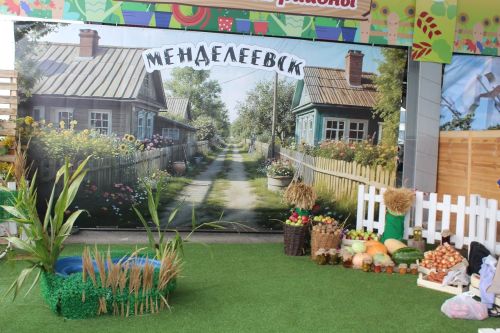 Садоводы Лаишевского района представили свою лучшую продукцию