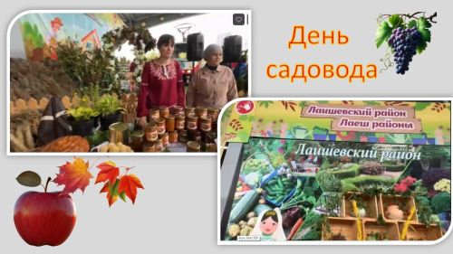 Павильон Лаишевского района на Дне садовода — один из самых ярких