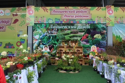 Садоводы Лаишевского района представили свою лучшую продукцию