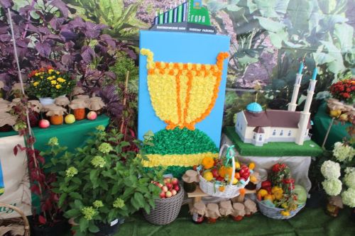 Садоводы Лаишевского района представили свою лучшую продукцию