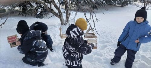 В Лаишевском районе отметили Всероссийский день зимующих птиц