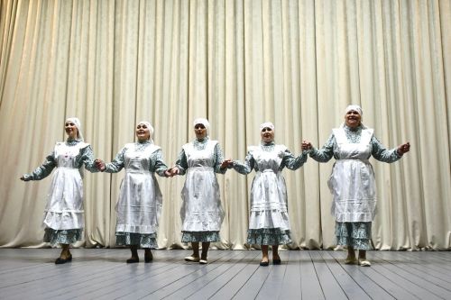 Концерт для гостей и жителей Малоелгинского сельского поселения