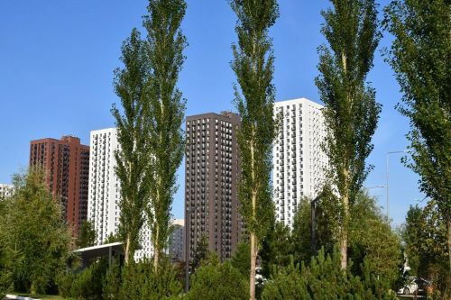 Многодетные семьи в Республике Татарстан: улучшение жилищных условий
