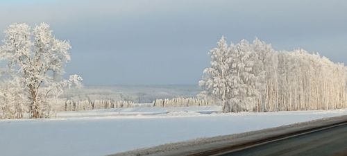 Ухудшение погоды: в Лаишевском районе ожидается местами до -35 °С