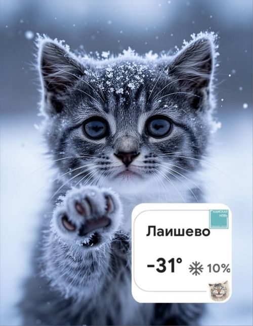 Морозы крепнут