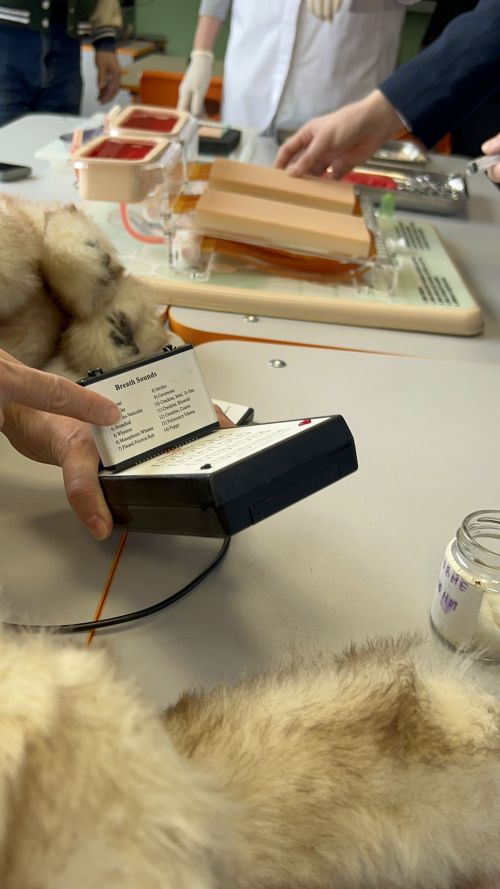 В Лаишевском районе состоялось знакомство школьников с аграрными профессиями