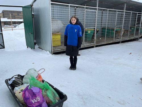 Учащиеся Лаишевского района сделали новогодние подарки для братьев наших меньших
