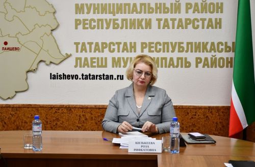 Начальник Управления Раиса РТ по работе с обращениями граждан провела личный приём в Лаишевском районе