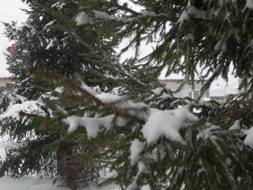 Сильная метель в Лаишевском районе продолжится и в понедельник