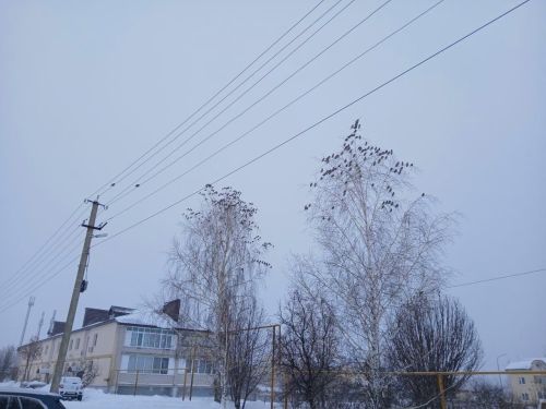 Рождественское чудо в Лаишево