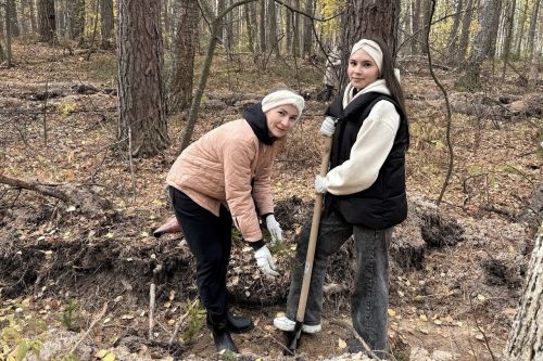Волонтеры высадили в Лаишевском районе 15 тысяч молодых деревьев