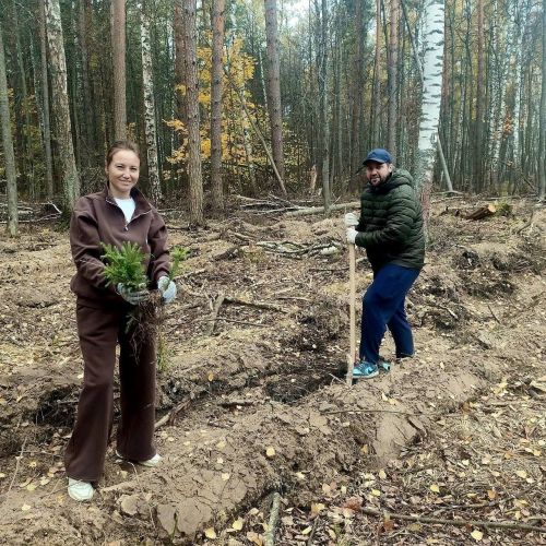 Волонтеры высадили в Лаишевском районе 15 тысяч молодых деревьев