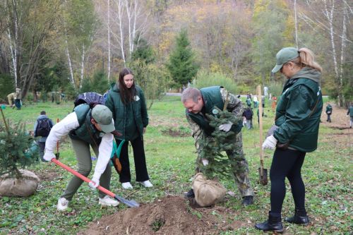 Волонтеры высадили в Лаишевском районе 15 тысяч молодых деревьев