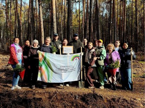 Волонтеры высадили в Лаишевском районе 15 тысяч молодых деревьев