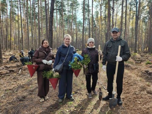 Волонтеры высадили в Лаишевском районе 15 тысяч молодых деревьев
