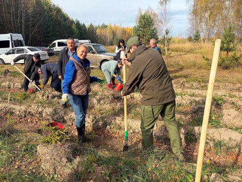 Волонтеры высадили в Лаишевском районе 15 тысяч молодых деревьев