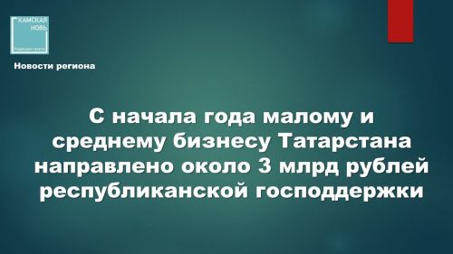 Татарстан направил 2,7 млрд рублей на поддержку малого и среднего бизнеса в 2026 году