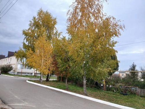 Синоптики пообещали жителям Лаишевского района тепло и сухую погоду завтра