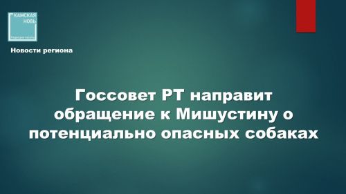 Владельцев бультерьеров в России могут обязать проходить курсы дрессировки