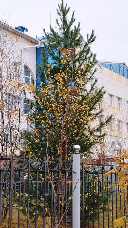 «Краски осени»: покажите, как выглядит октябрь в вашем объективе