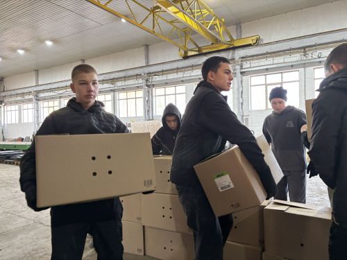 Как полковник запаса из Лаишево превратил личную инициативу в народное движение