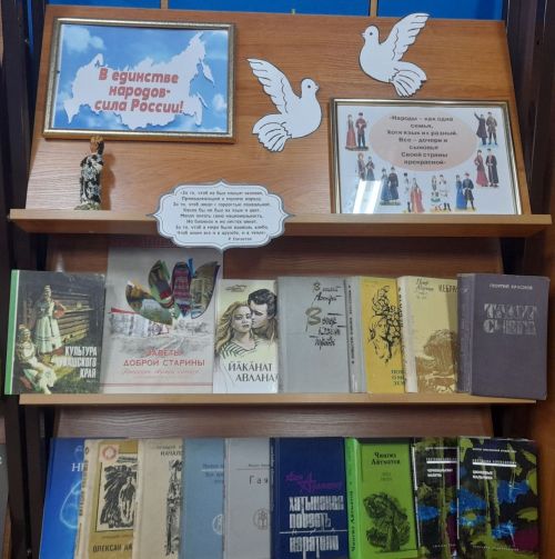 К Году единства народов России в Лаишевской библиотеке открыли книжную выставку