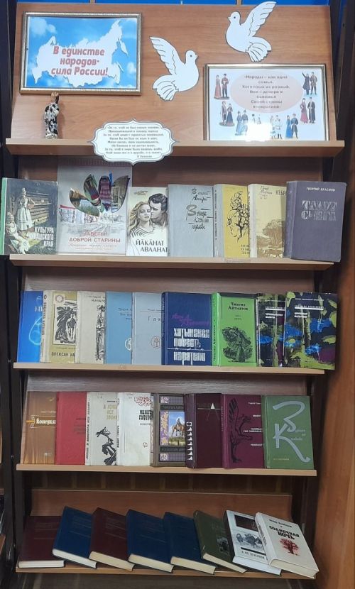 К Году единства народов России в Лаишевской библиотеке открыли книжную выставку