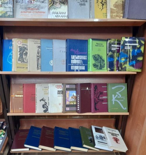 К Году единства народов России в Лаишевской библиотеке открыли книжную выставку