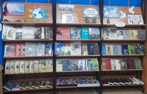 К Году единства народов России в Лаишевской библиотеке открыли книжную выставку