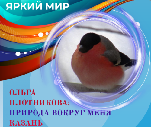 Стильная кормушка от Ольги Плотниковой
