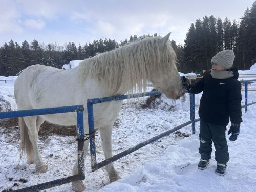 Масленица в конном клубе «Рассвет»: праздник с улыбками и ароматом блинов