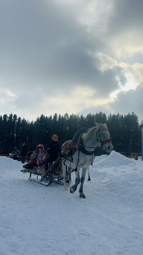 Масленица в конном клубе «Рассвет»: праздник с улыбками и ароматом блинов