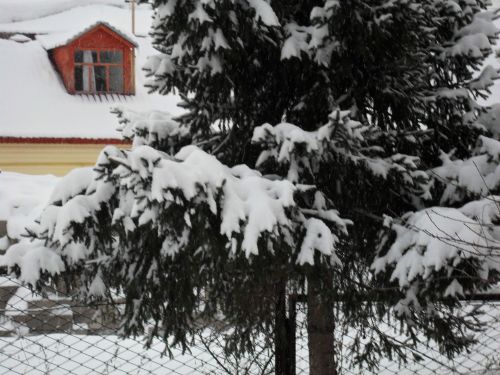 Во вторник в Лаишевском районе усилится ветер
