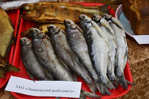 Жизнь и развитие Макаровского сельского поселения