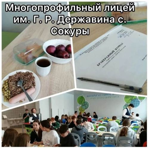 Лаеш районында мәктәп туклануын тикшерделәр