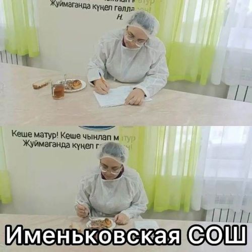 Лаеш районында мәктәп туклануын тикшерделәр