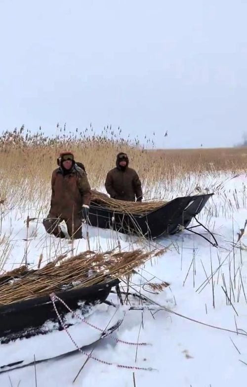 Акция «Рыбе быть» в Лаишевском районе: спасение водных биоресурсов прошло успешно