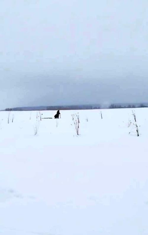 Акция «Рыбе быть» в Лаишевском районе: спасение водных биоресурсов прошло успешно