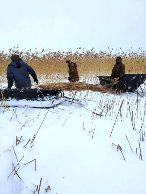 Акция «Рыбе быть» в Лаишевском районе: спасение водных биоресурсов прошло успешно