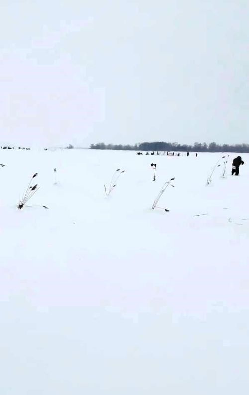 Акция «Рыбе быть» в Лаишевском районе: спасение водных биоресурсов прошло успешно