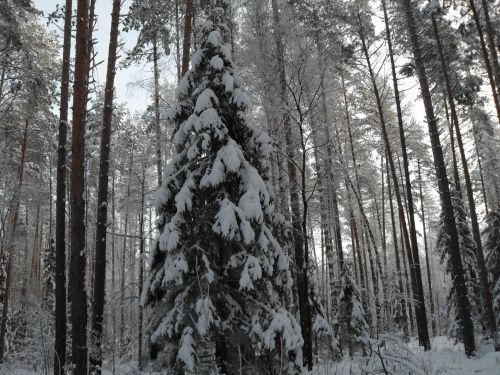 Сегодня жителей Лаишевского района ждет сильная метель