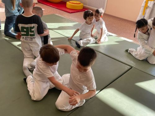 В детском саду «Ромашка» прошли соревнования «Семейное дзюдо»
