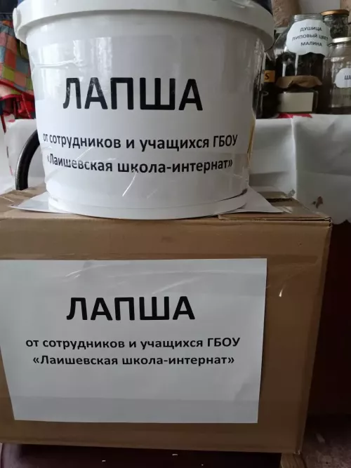 Гуманитарный груз отправлен: Лаишевская школа-интернат поддерживает защитников Отечества