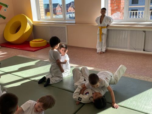 В детском саду «Ромашка» прошли соревнования «Семейное дзюдо»