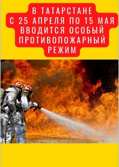 С 25 апреля — запрет на костры и пиротехнику: спасём леса до пожаров