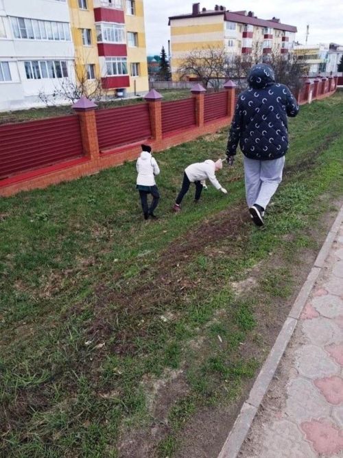 Лаешта май бәйрәмнәренә кадәр тәртип урнаштыралар